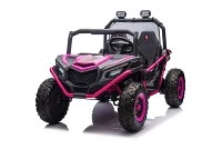 UTV Leanaí turas ar charr 24V
